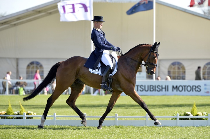 dressage-day-one-2013-header.jpg